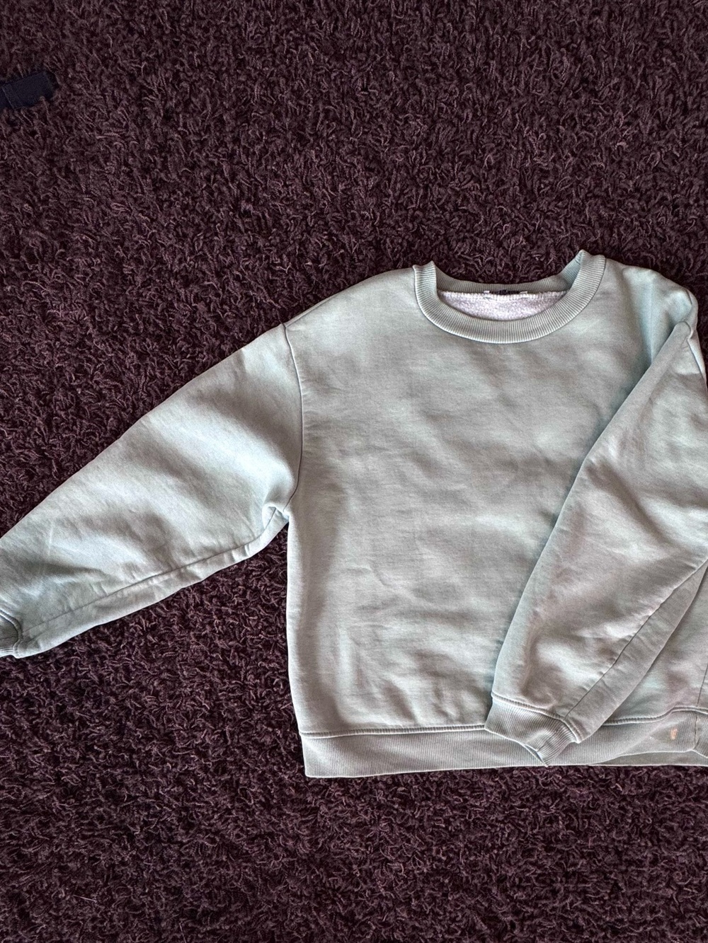 Zara Women's Scoop/Crew Sweatshirt in Light Mint